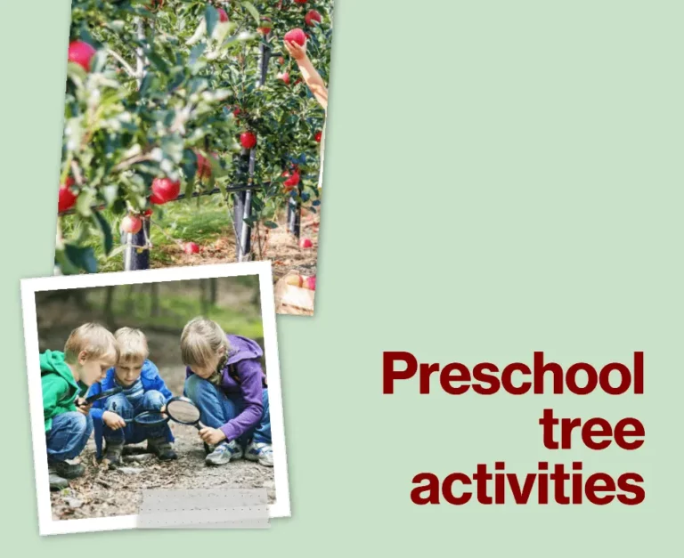 Preschool-tree activities