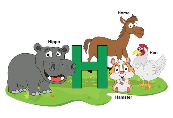 Animals That Start With the Letter H