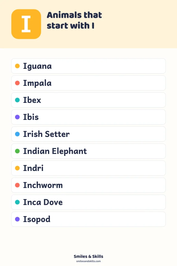 Animals That Start With the Letter I: Intriguing Insights