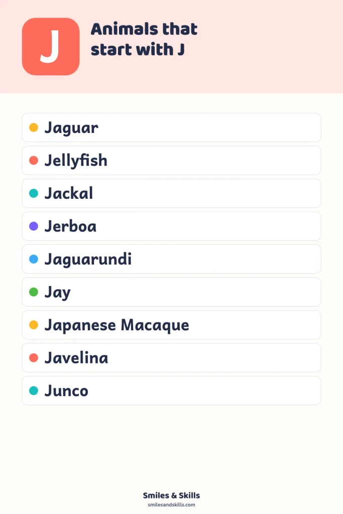 Animals That Start With the Letter J: Discover the Jungle’s Jewels!