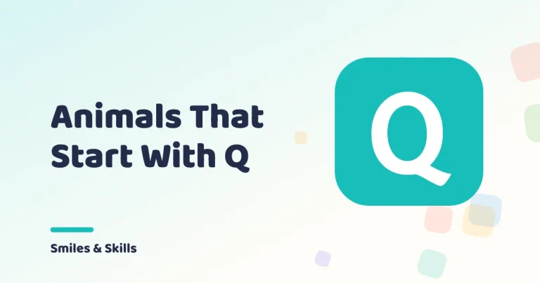Animals That Start With the Letter Q: Quirky & Quaint!