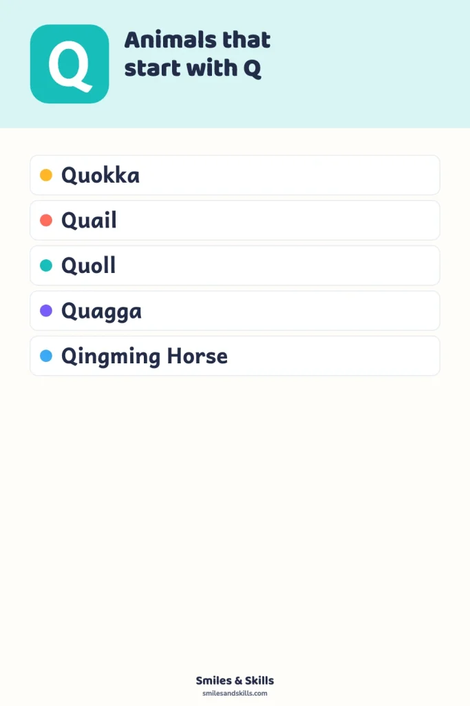 Animals That Start With the Letter Q: Quirky & Quaint!
