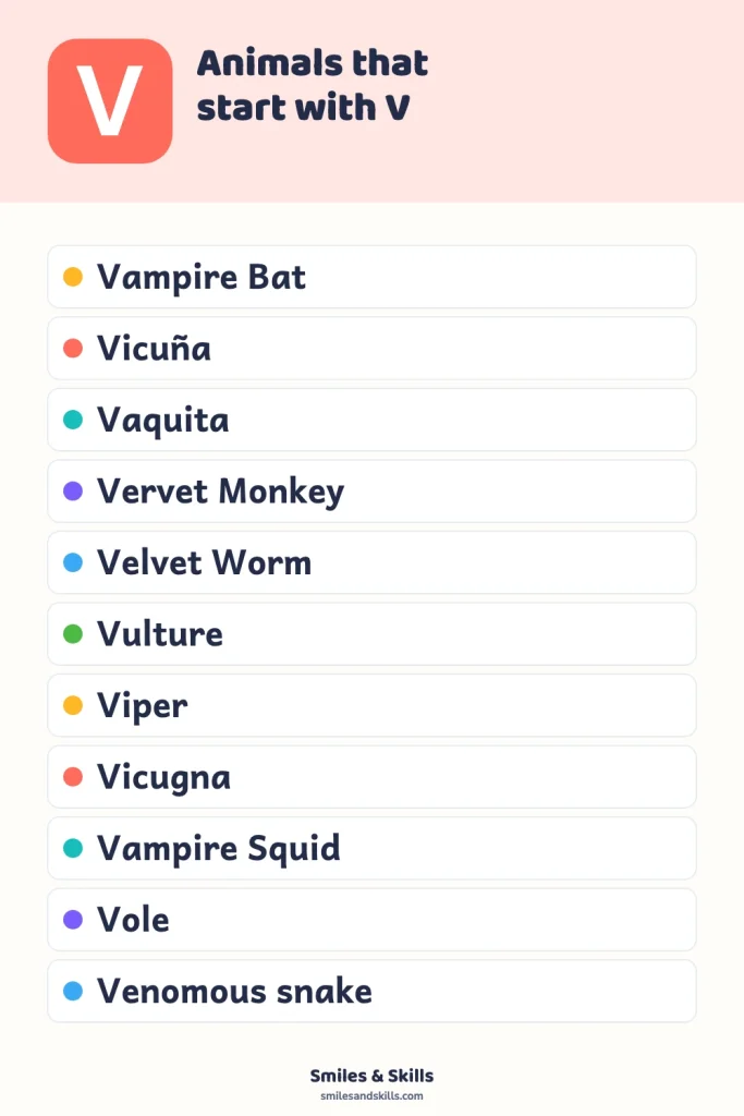 Animals That Start With the Letter V